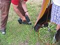 20090802_img_9390