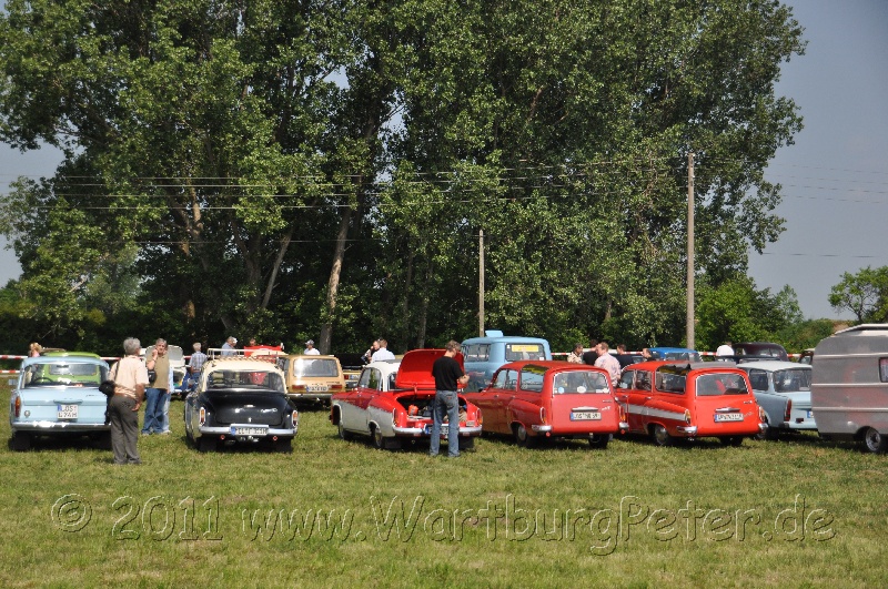 neureetz_2011_wartburg_dsc_1178.jpg