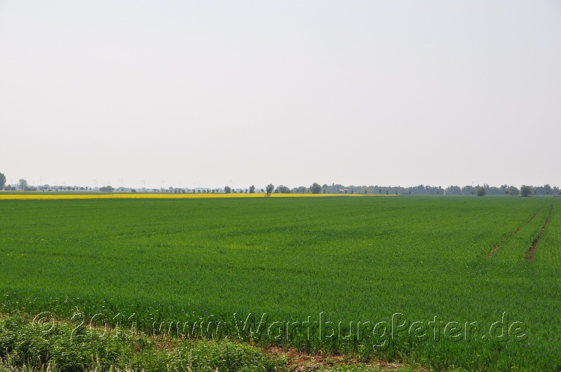 neureetz_2011_wartburg_dsc_1297.jpg