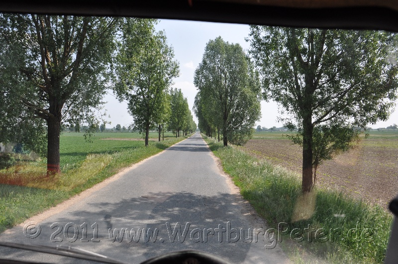neureetz_2011_wartburg_dsc_1302.jpg