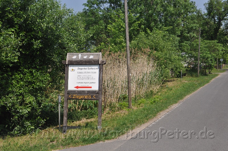 neureetz_2011_wartburg_dsc_1304.jpg