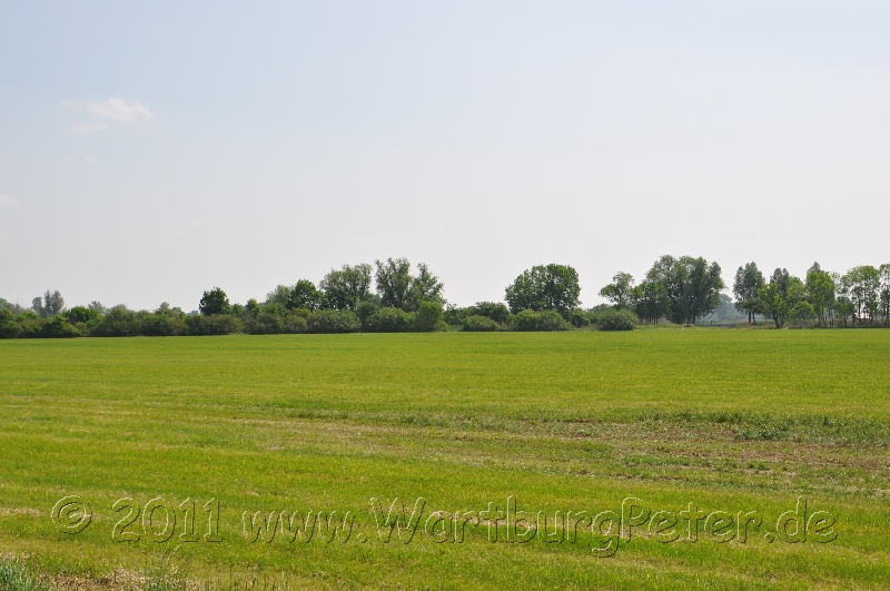 neureetz_2011_wartburg_dsc_1322.jpg