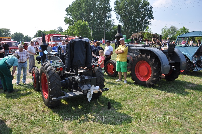 neureetz_2011_wartburg_dsc_1394.jpg