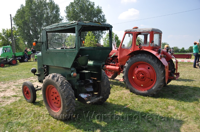 neureetz_2011_wartburg_dsc_1401.jpg